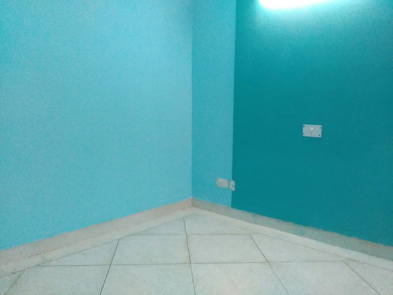 Kitchen renovation